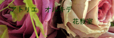アトリエ　オルキデ　花教室のご案内